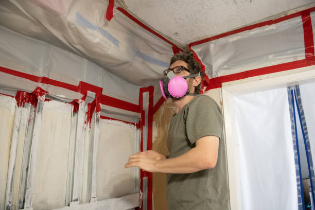 Professional Mold Inspection, Removal & Remediation in Glen Rock, NJ