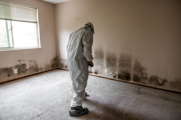 Forensic Mold Investigation in Glen Rock, NJ